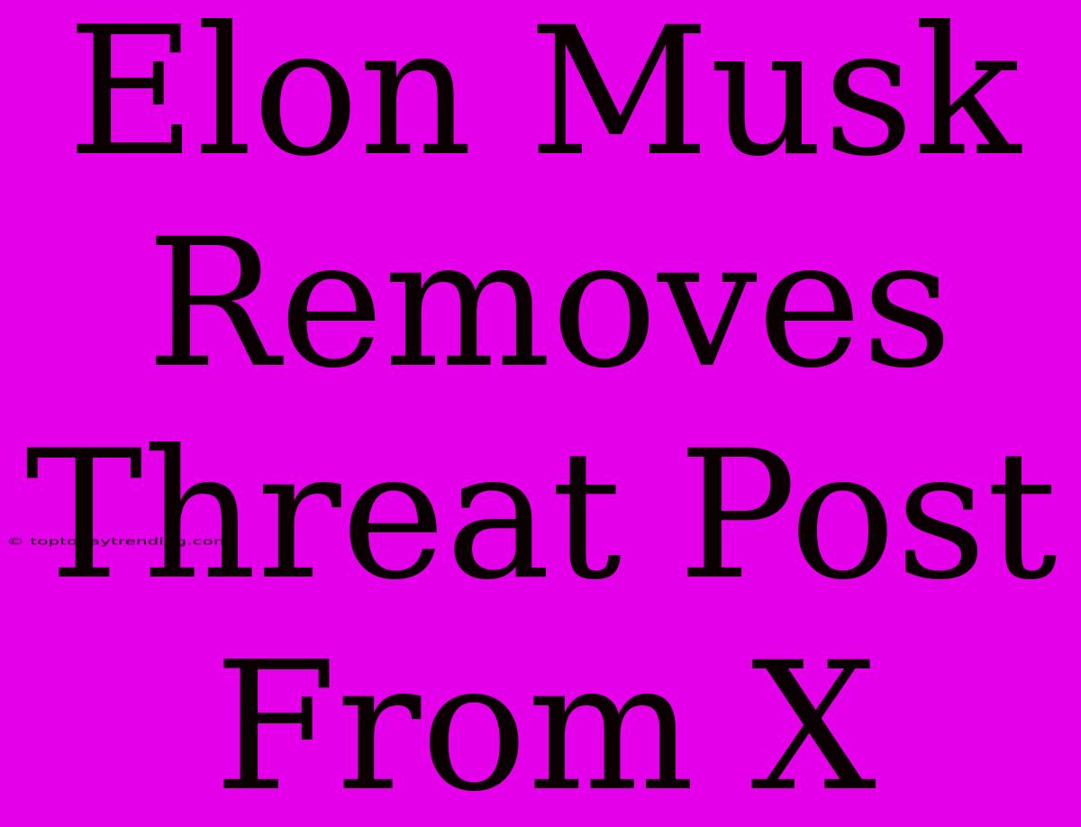 Elon Musk Removes Threat Post From X