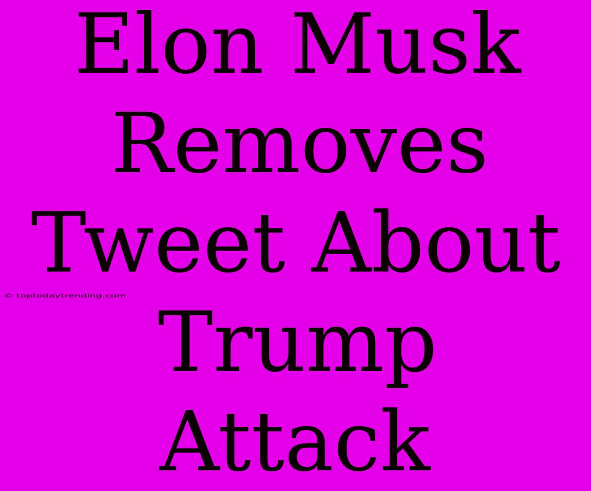 Elon Musk Removes Tweet About Trump Attack