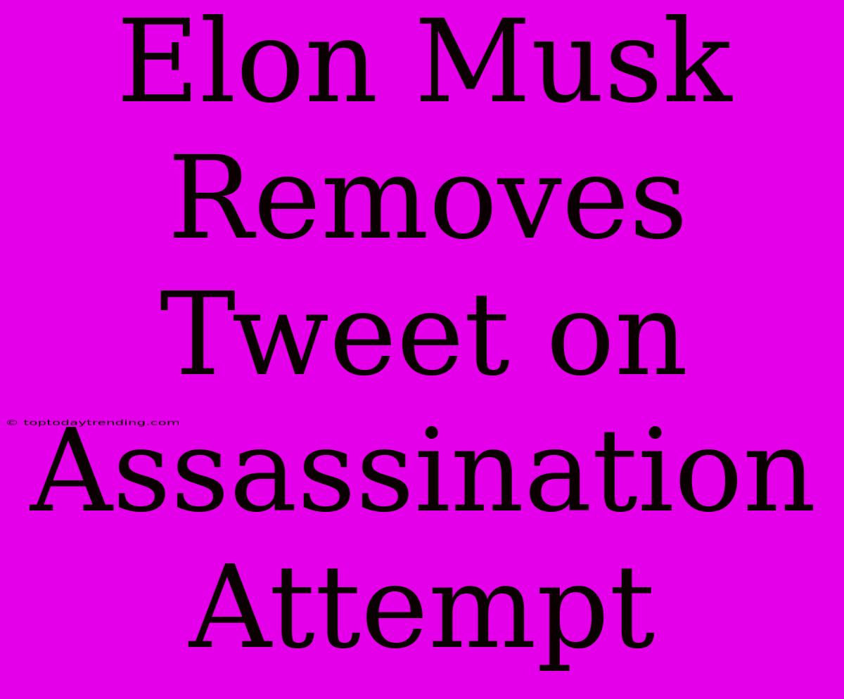 Elon Musk Removes Tweet On Assassination Attempt