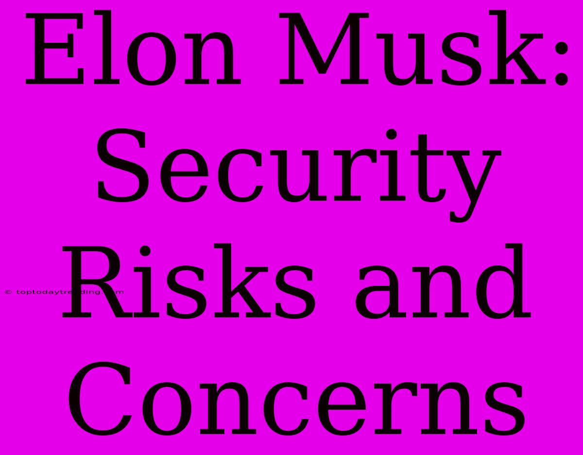 Elon Musk: Security Risks And Concerns