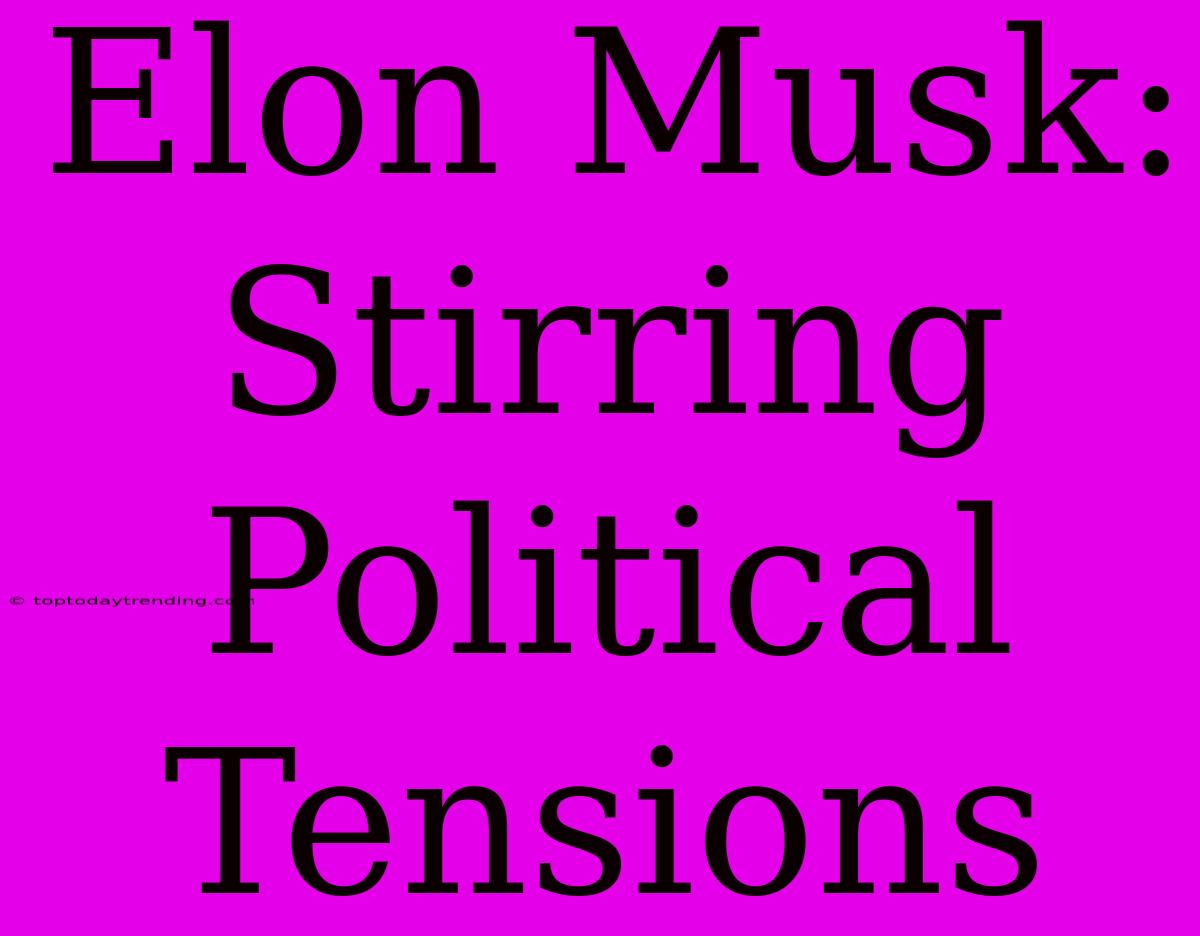 Elon Musk: Stirring Political Tensions