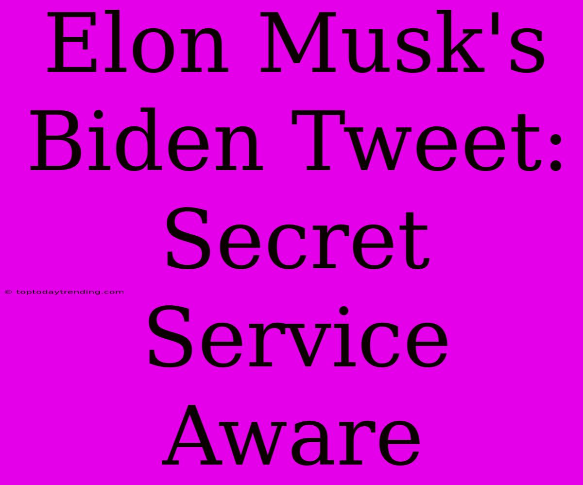 Elon Musk's Biden Tweet: Secret Service Aware