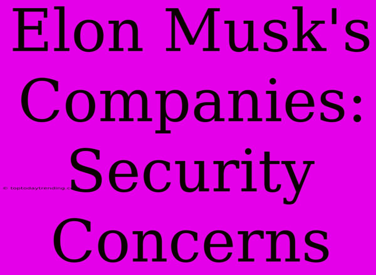 Elon Musk's Companies: Security Concerns