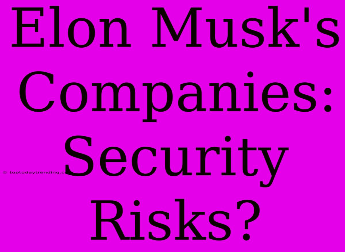 Elon Musk's Companies: Security Risks?