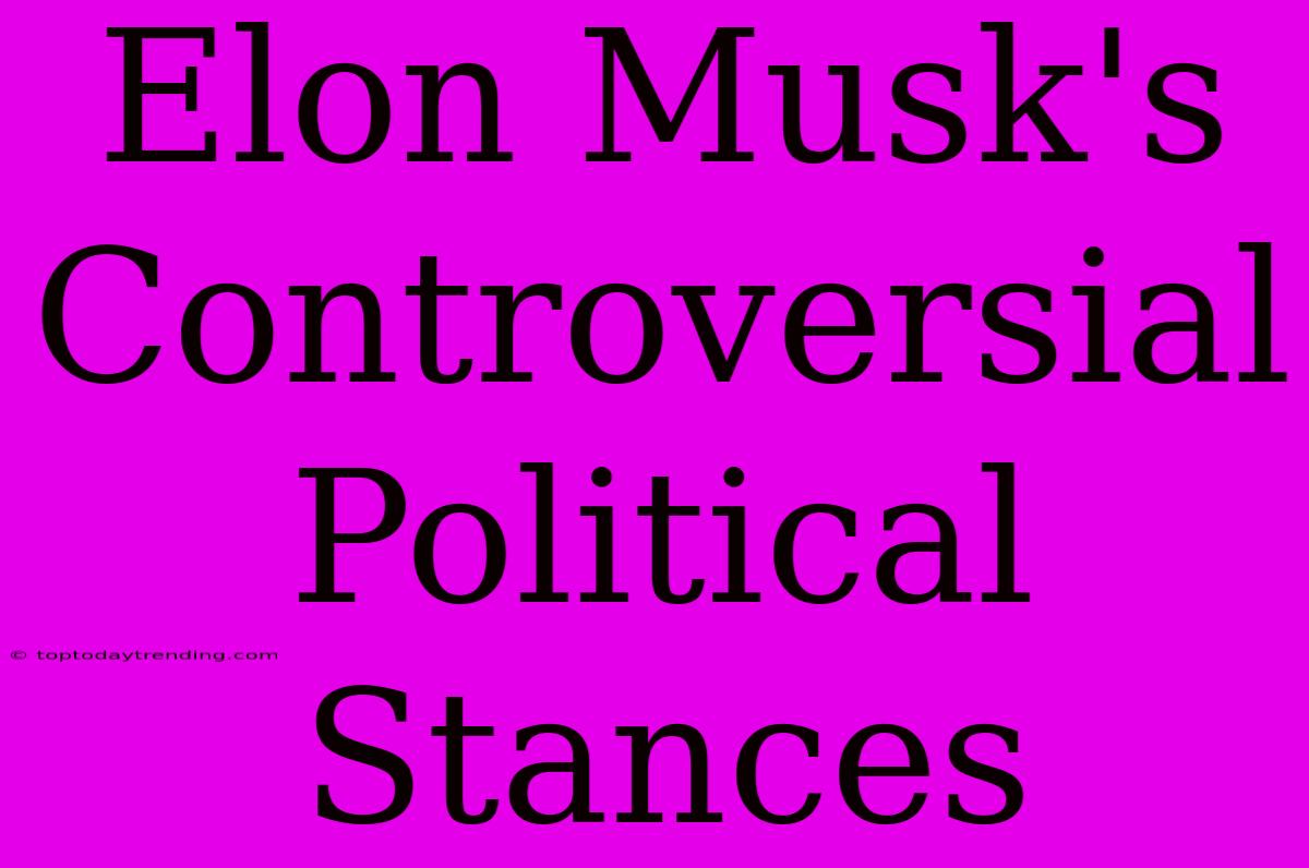 Elon Musk's Controversial Political Stances