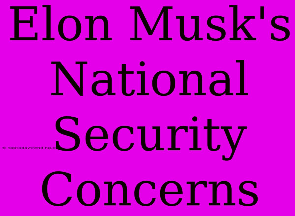 Elon Musk's National Security Concerns