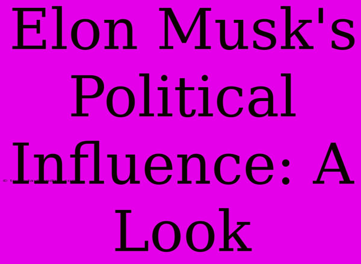 Elon Musk's Political Influence: A Look