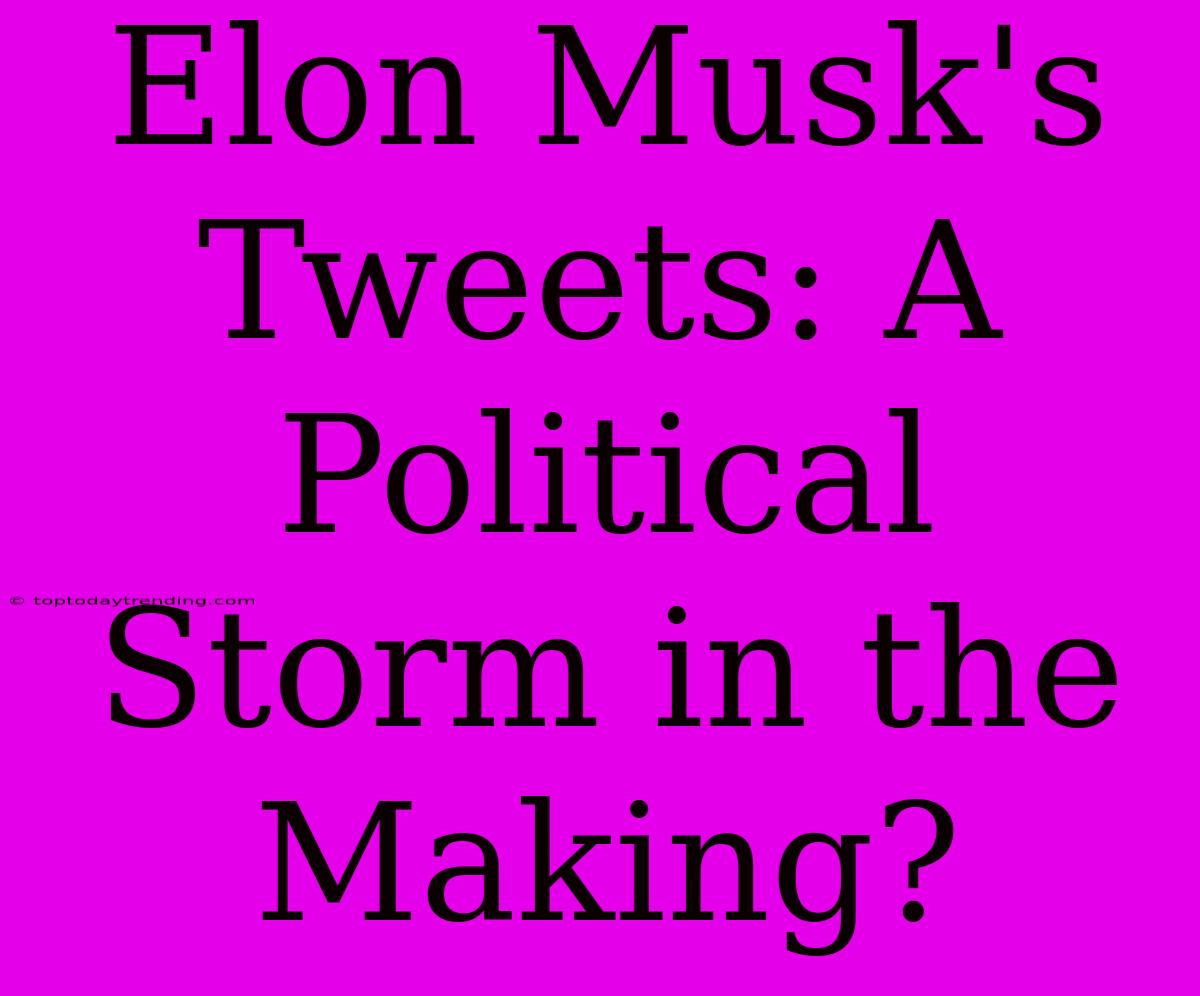 Elon Musk's Tweets: A Political Storm In The Making?