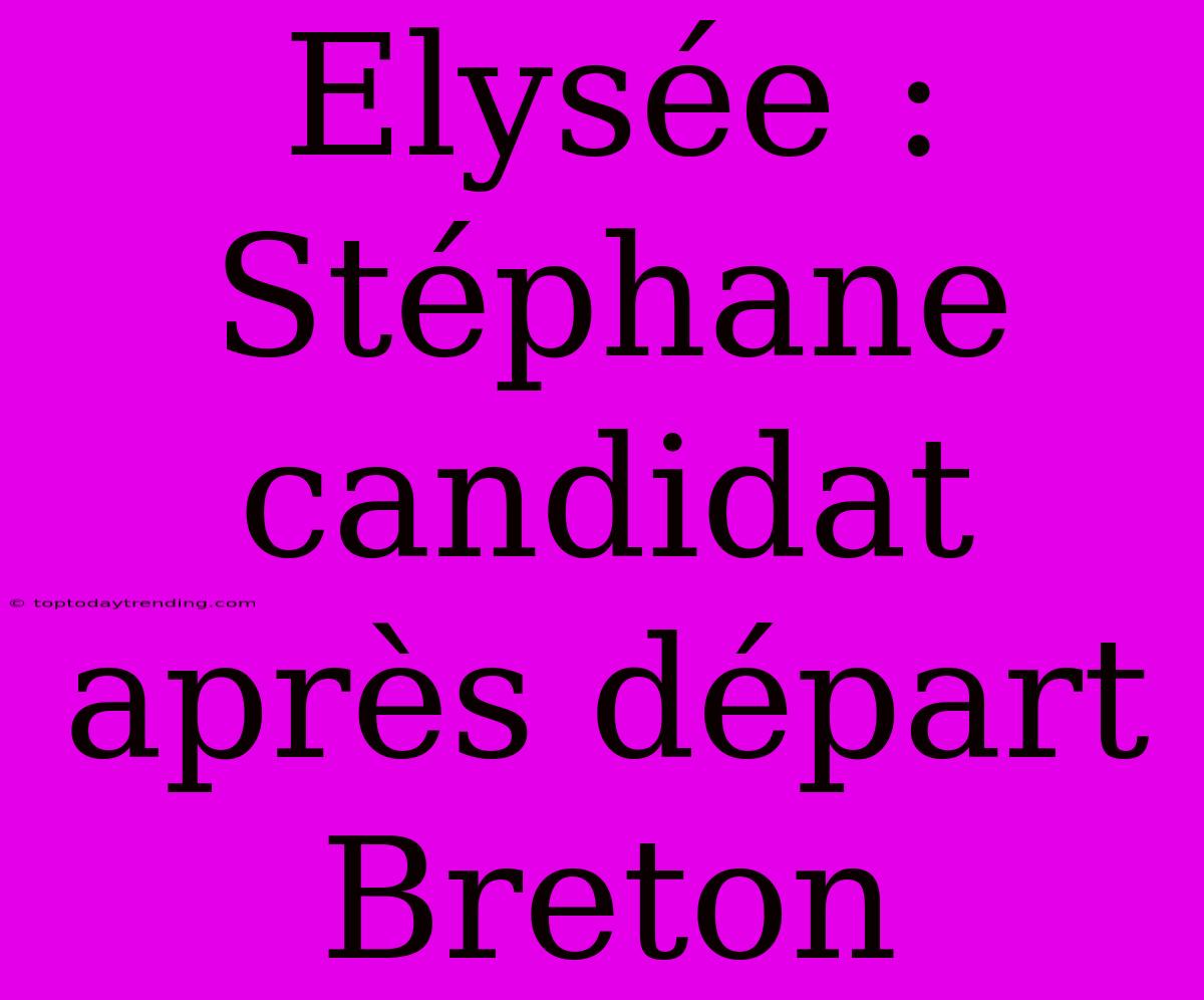 Elysée : Stéphane Candidat Après Départ Breton