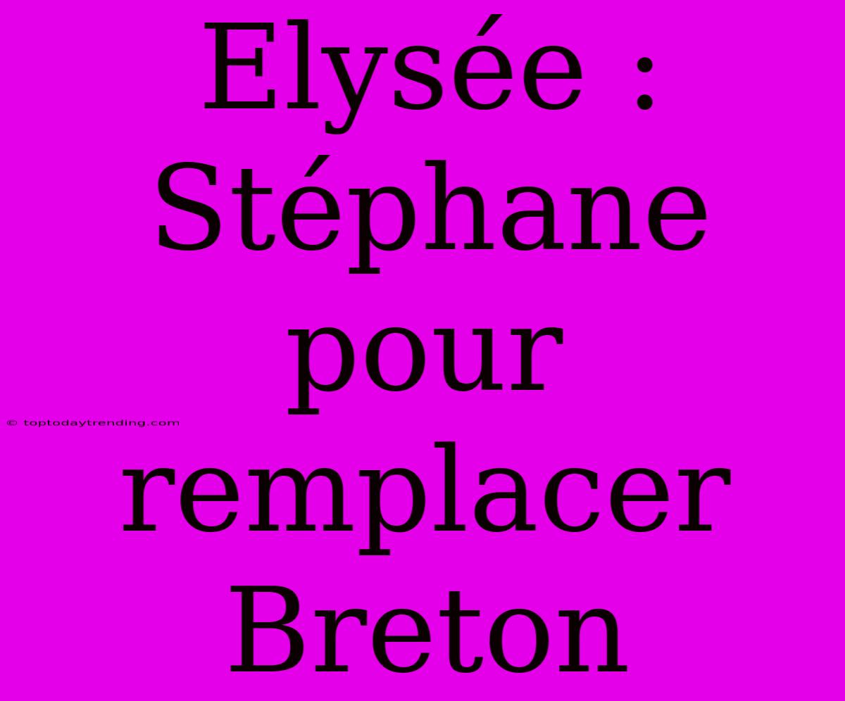 Elysée : Stéphane Pour Remplacer Breton