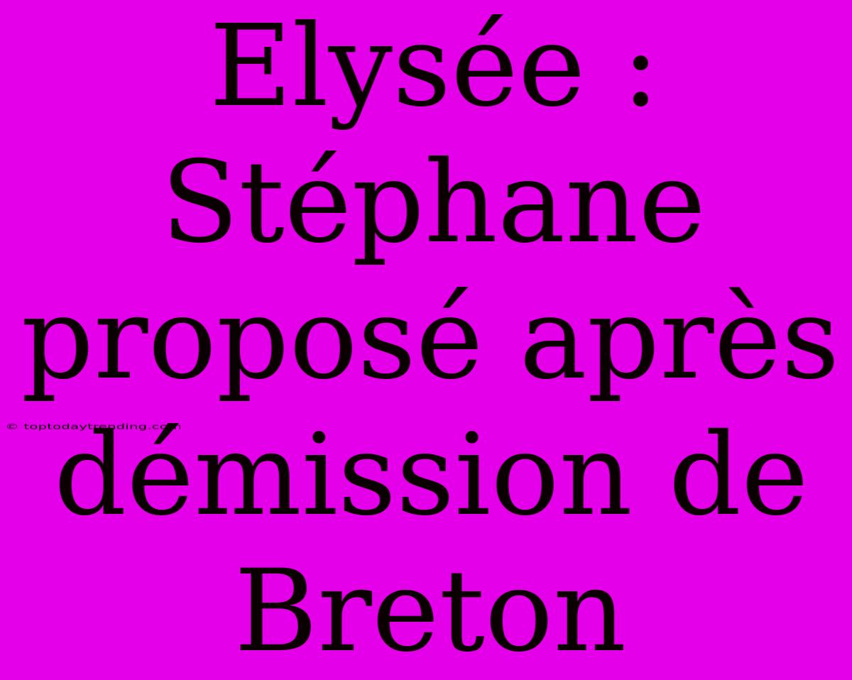 Elysée : Stéphane Proposé Après Démission De Breton