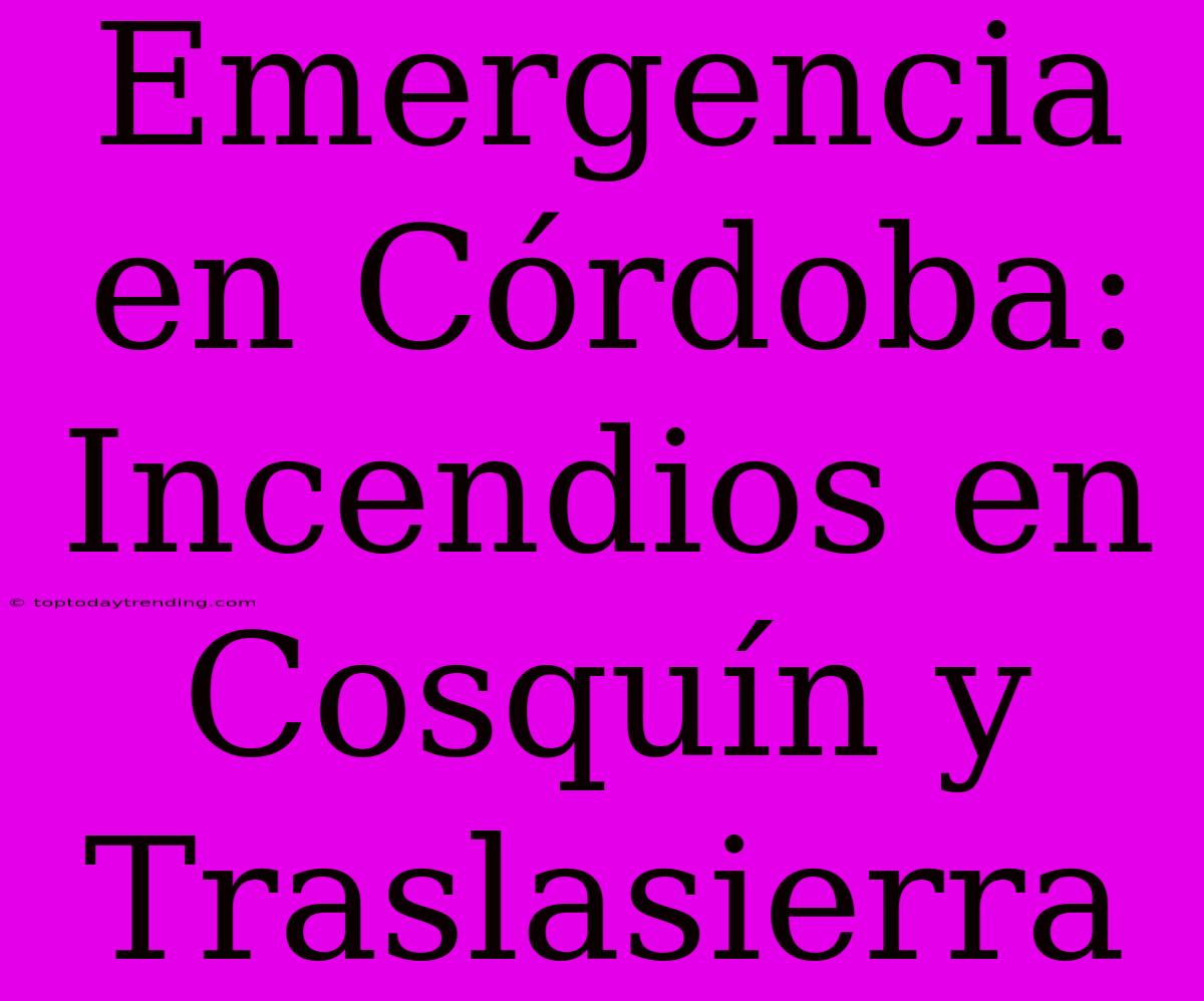 Emergencia En Córdoba: Incendios En Cosquín Y Traslasierra