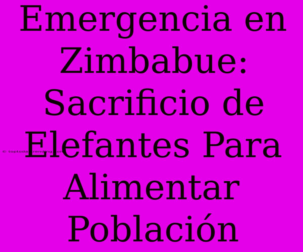 Emergencia En Zimbabue: Sacrificio De Elefantes Para Alimentar Población