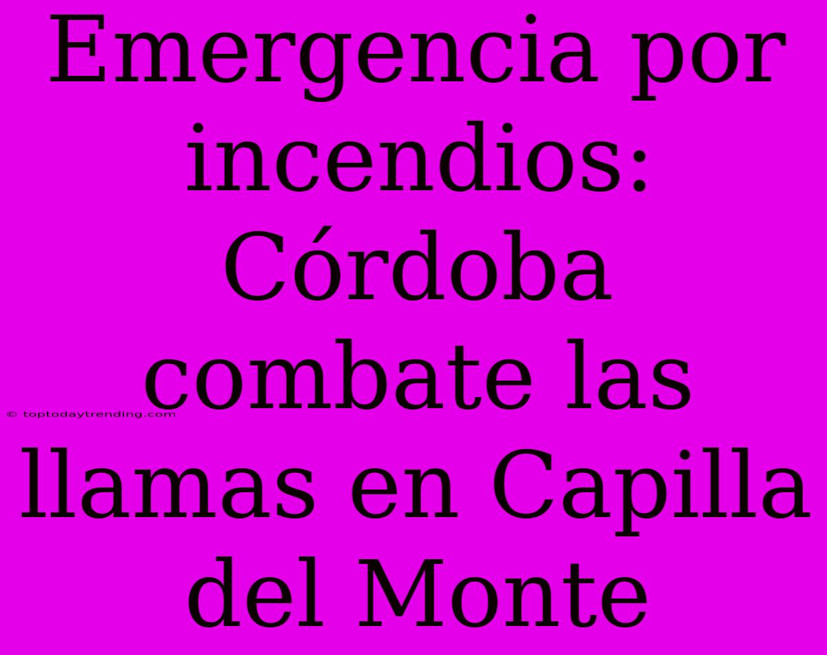 Emergencia Por Incendios: Córdoba Combate Las Llamas En Capilla Del Monte