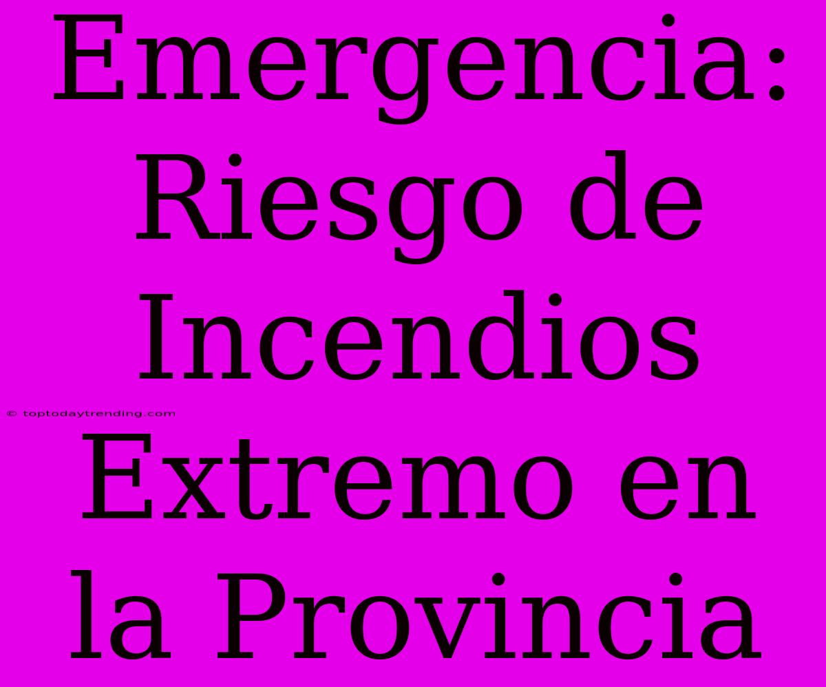 Emergencia: Riesgo De Incendios Extremo En La Provincia