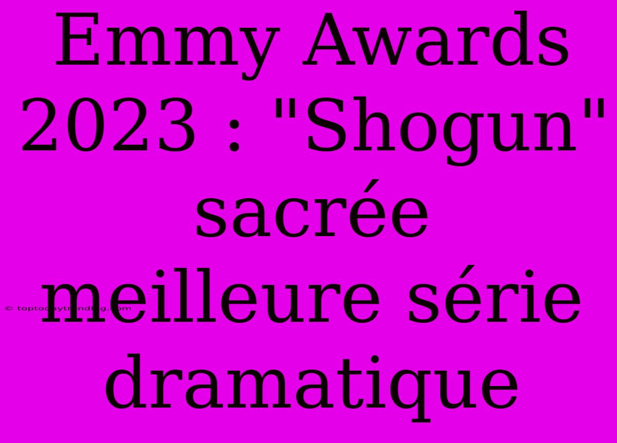 Emmy Awards 2023 : 