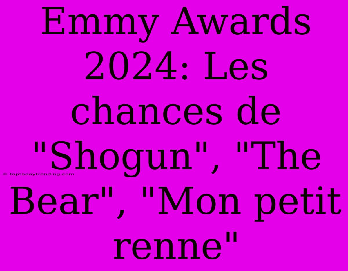 Emmy Awards 2024: Les Chances De 