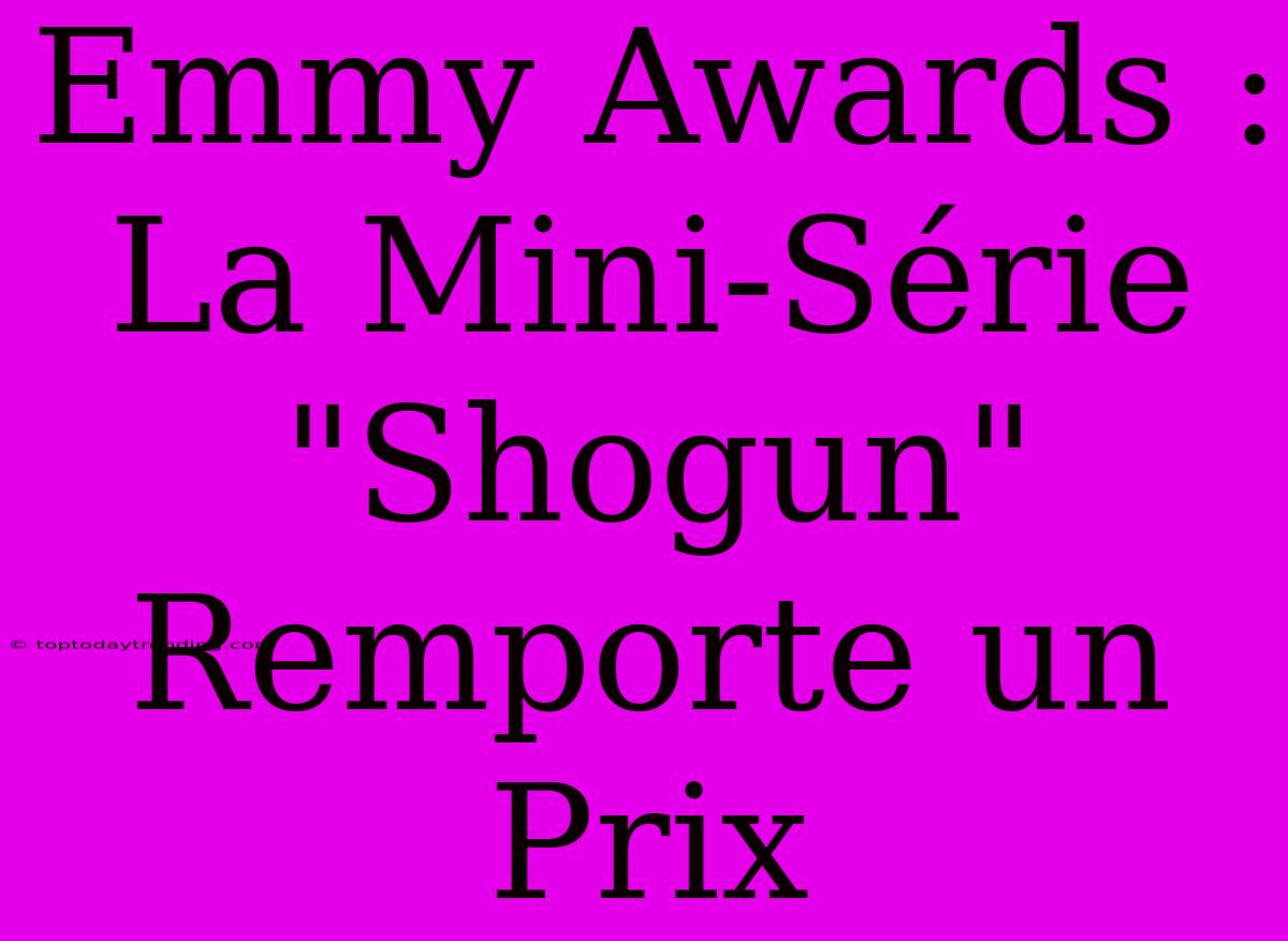 Emmy Awards : La Mini-Série 