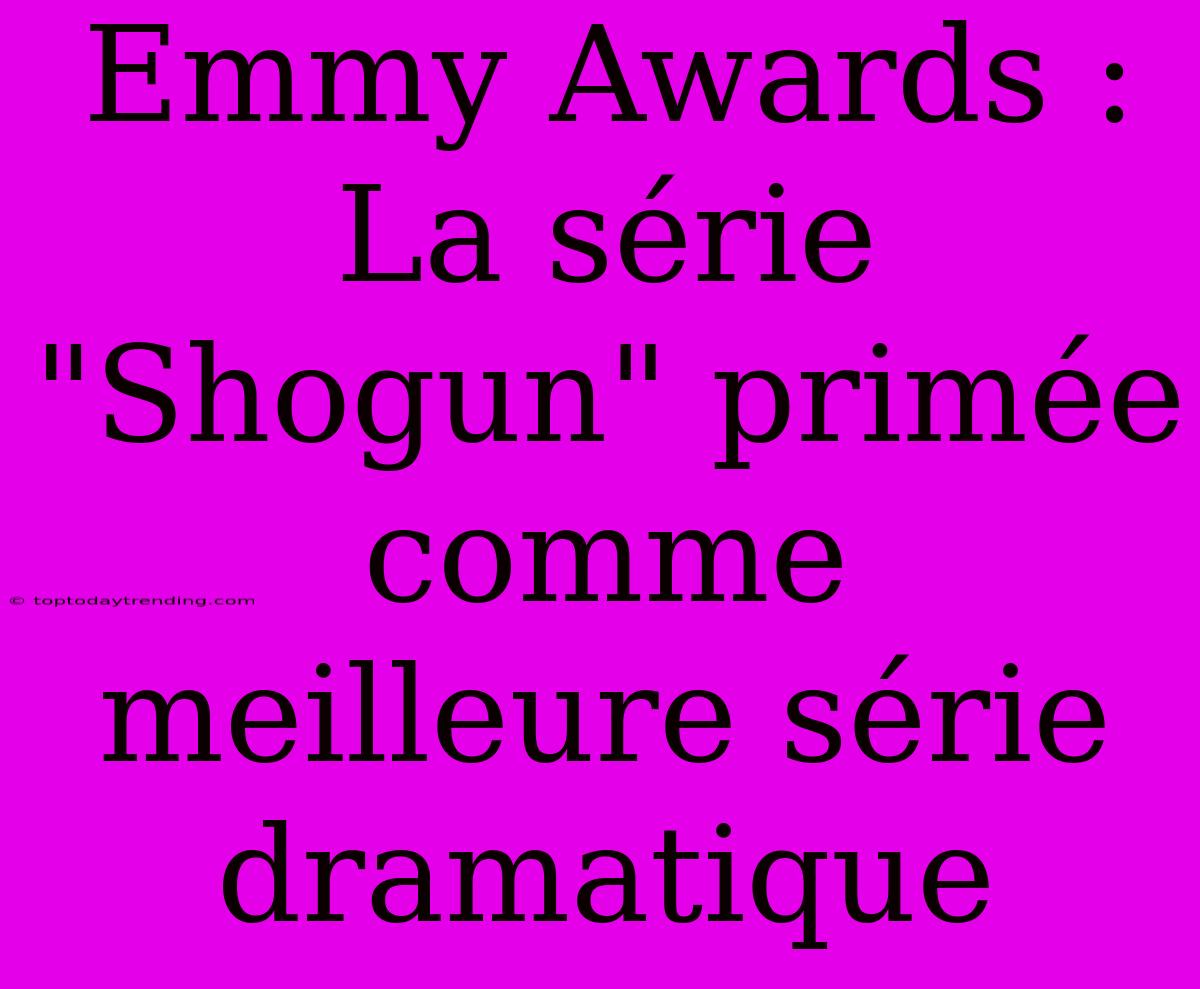 Emmy Awards : La Série 