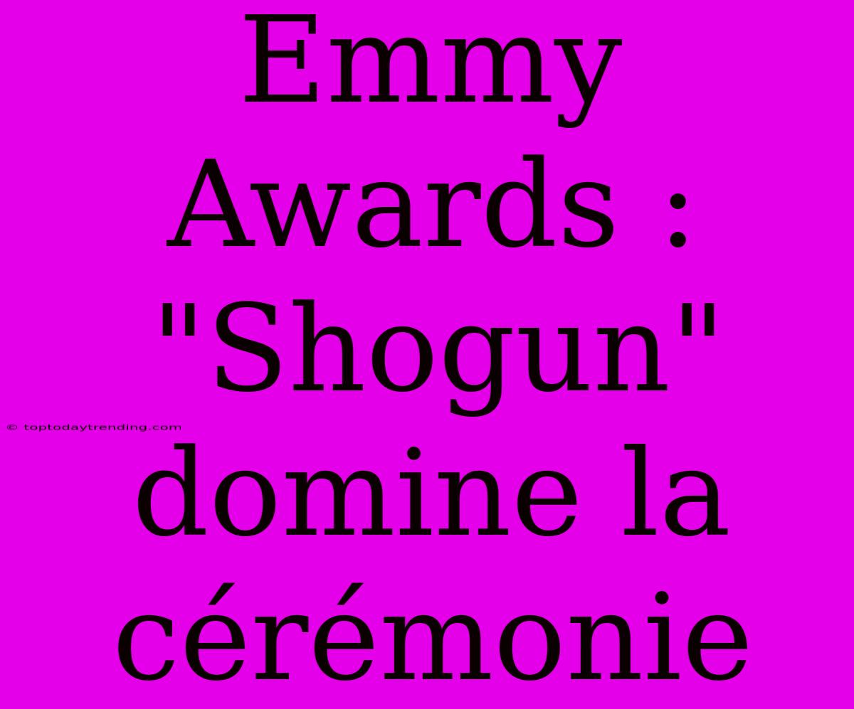 Emmy Awards : 