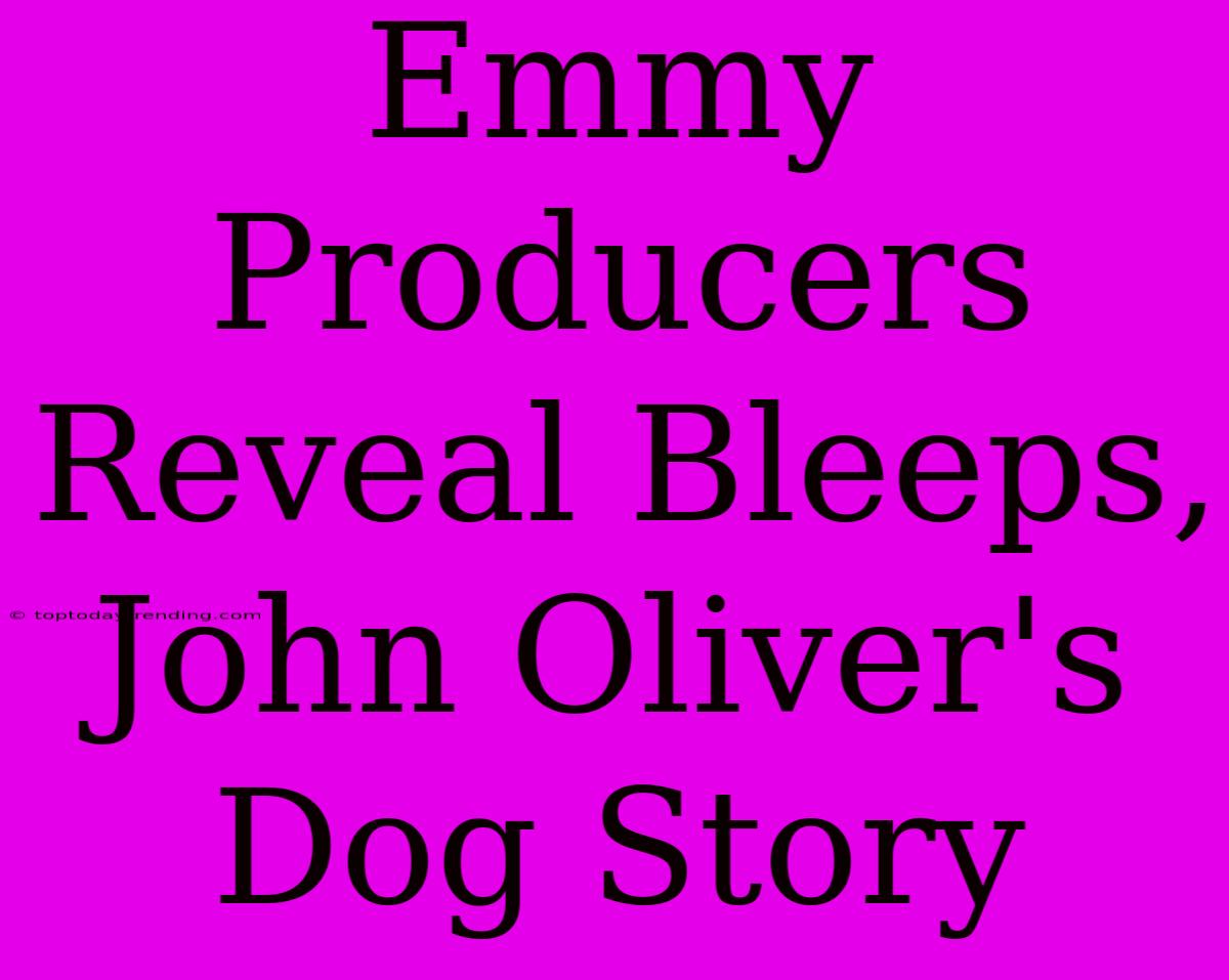 Emmy Producers Reveal Bleeps, John Oliver's Dog Story