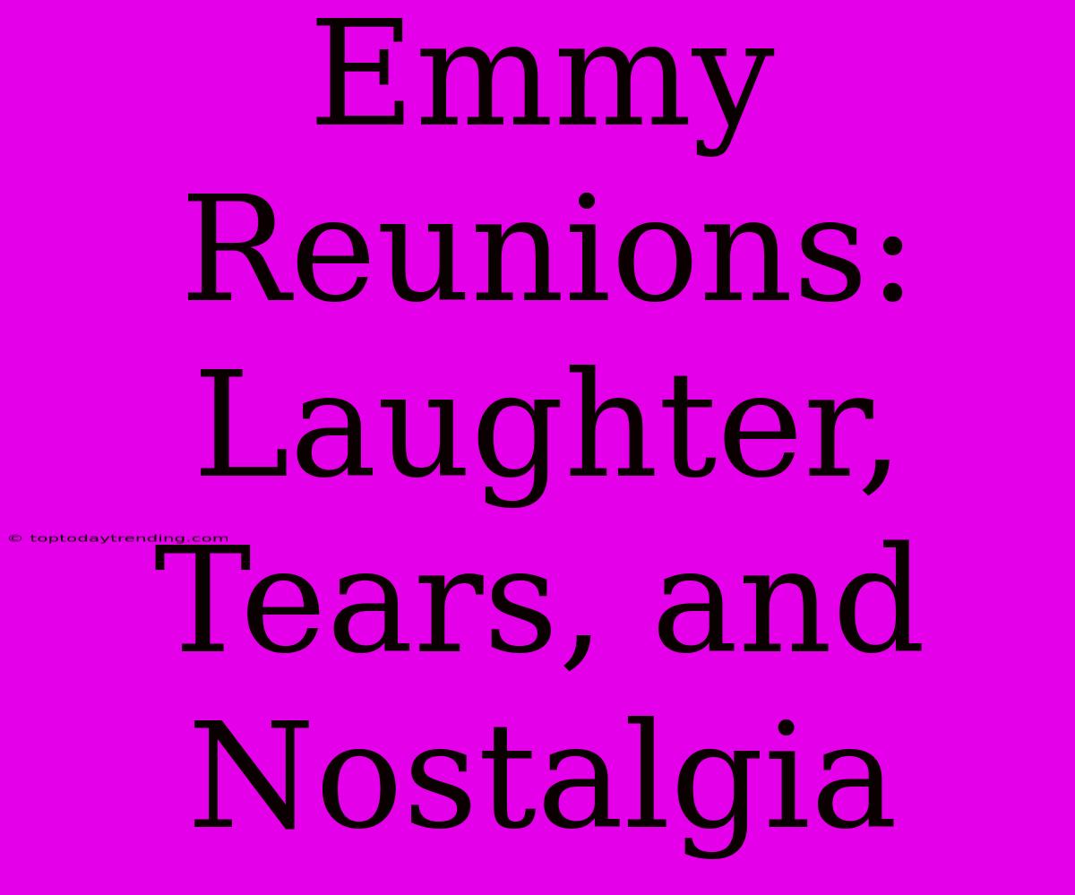 Emmy Reunions: Laughter, Tears, And Nostalgia