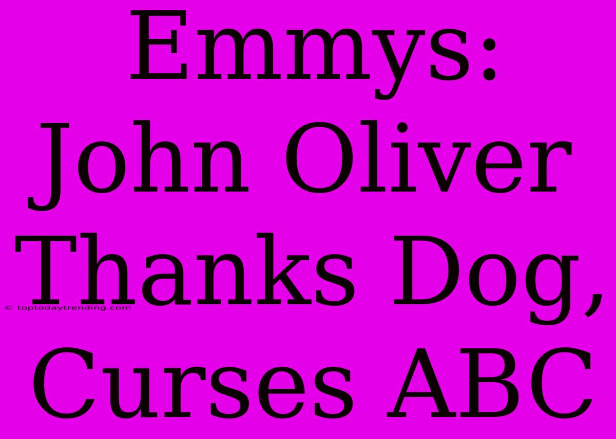 Emmys: John Oliver Thanks Dog, Curses ABC