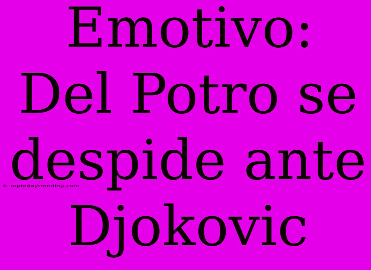 Emotivo: Del Potro Se Despide Ante Djokovic