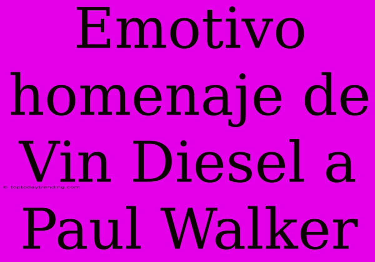 Emotivo Homenaje De Vin Diesel A Paul Walker