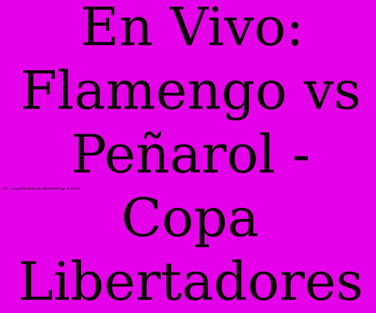 En Vivo: Flamengo Vs Peñarol - Copa Libertadores