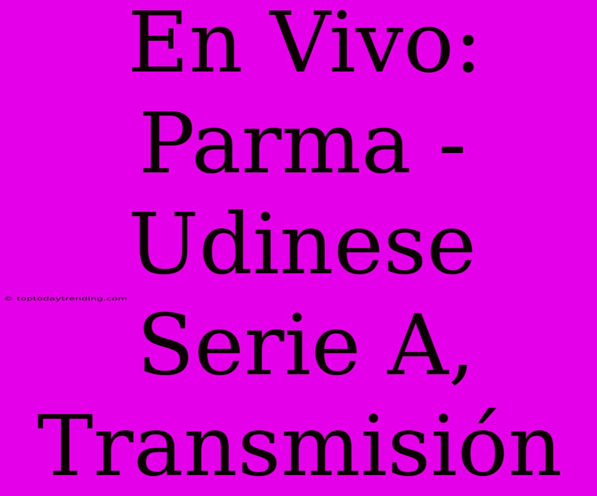 En Vivo: Parma - Udinese Serie A, Transmisión