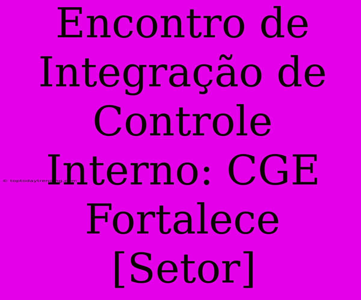 Encontro De Integração De Controle Interno: CGE Fortalece [Setor]