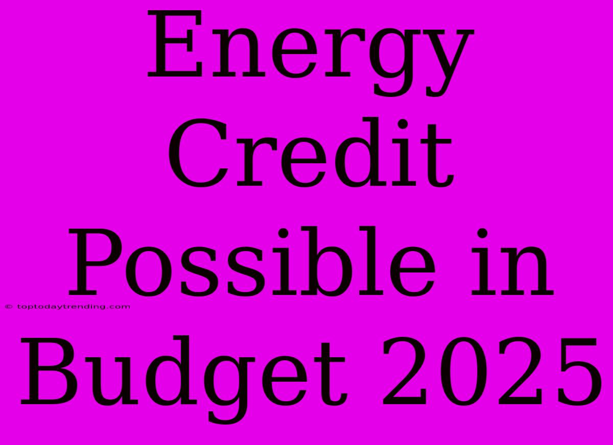 Energy Credit Possible In Budget 2025