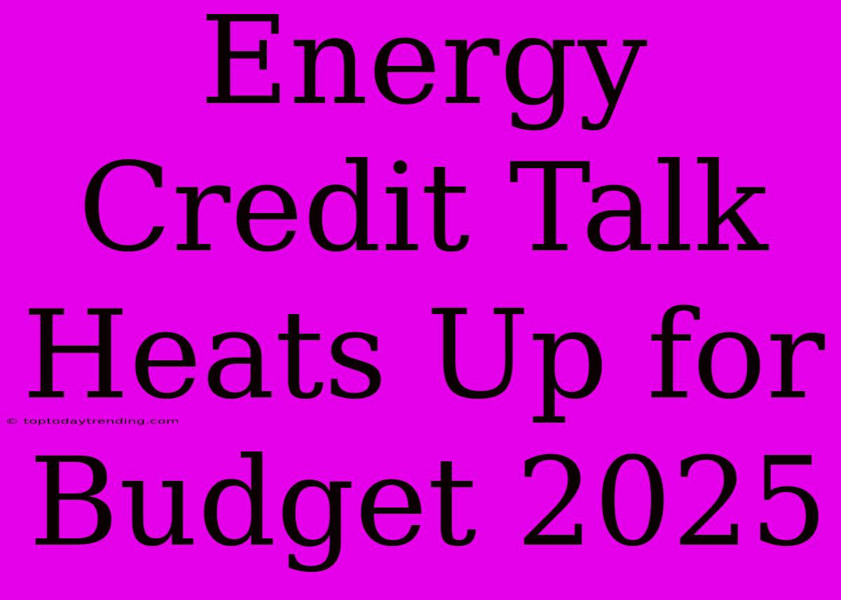 Energy Credit Talk Heats Up For Budget 2025