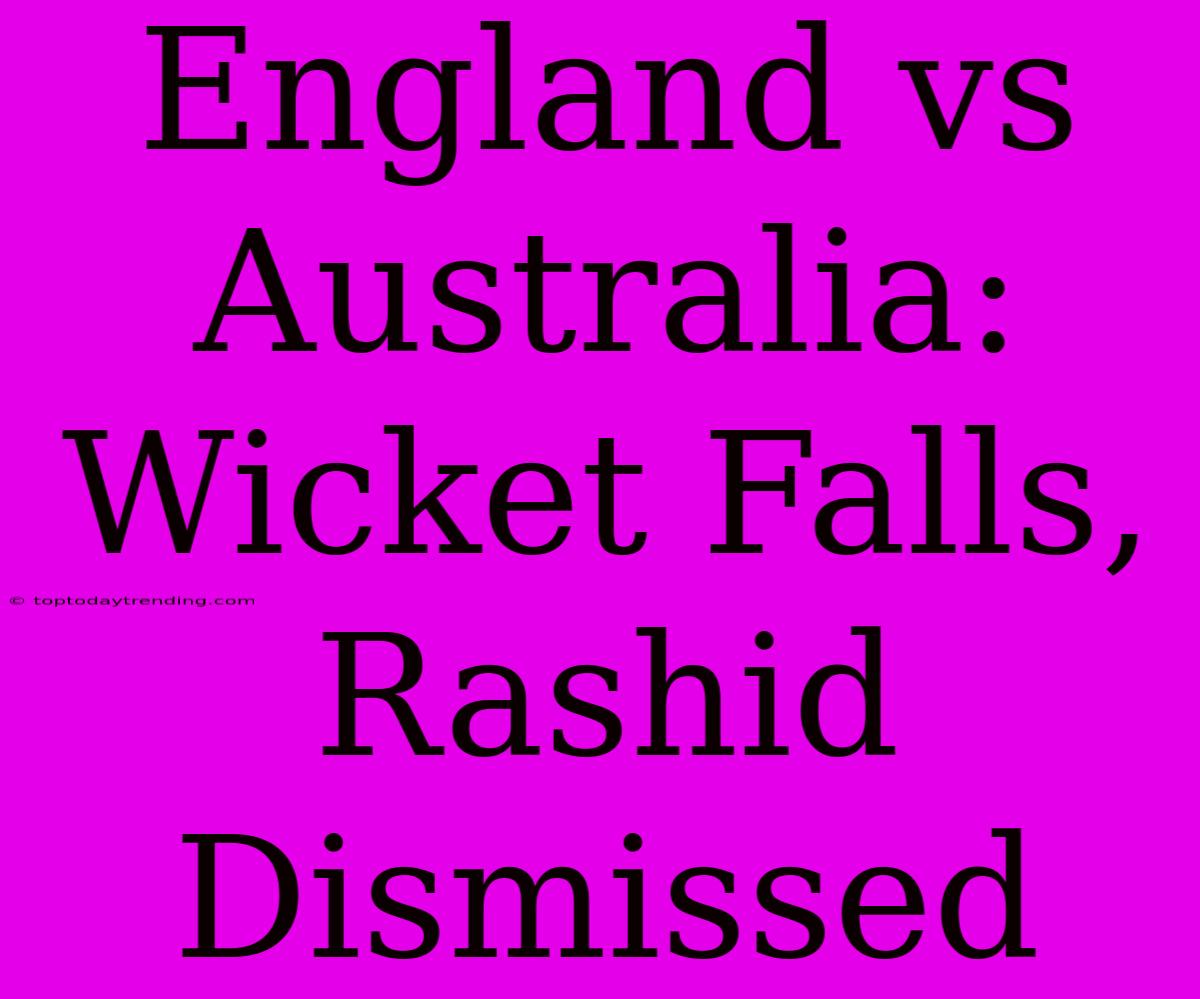 England Vs Australia: Wicket Falls, Rashid Dismissed