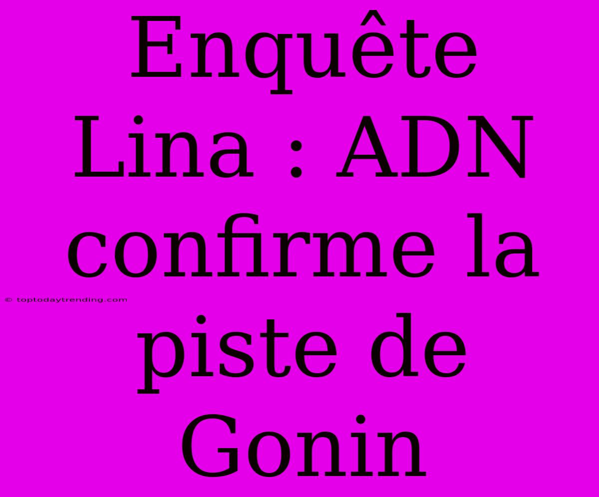 Enquête Lina : ADN Confirme La Piste De Gonin