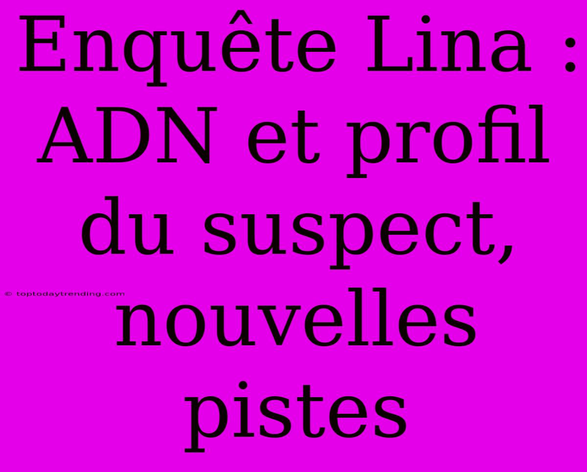 Enquête Lina : ADN Et Profil Du Suspect, Nouvelles Pistes