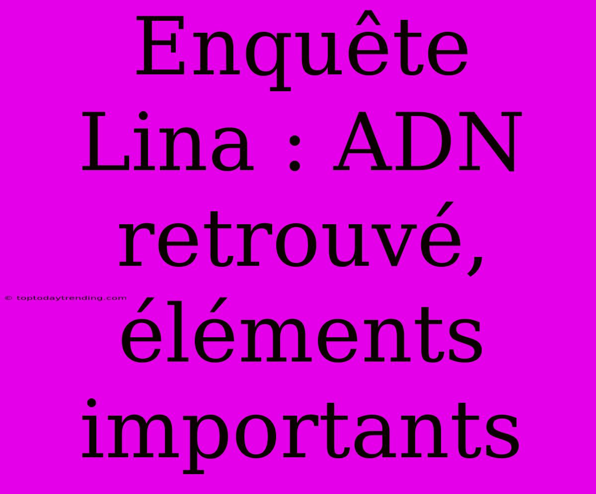 Enquête Lina : ADN Retrouvé, Éléments Importants