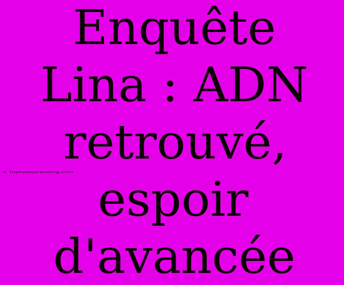 Enquête Lina : ADN Retrouvé, Espoir D'avancée