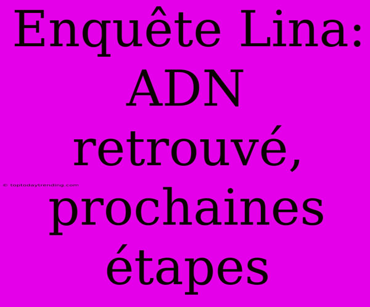 Enquête Lina: ADN Retrouvé, Prochaines Étapes