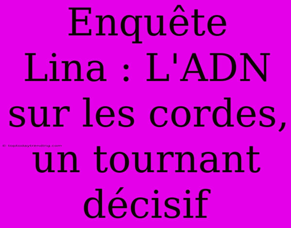 Enquête Lina : L'ADN Sur Les Cordes, Un Tournant Décisif