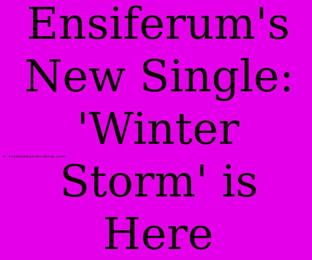 Ensiferum's New Single: 'Winter Storm' Is Here