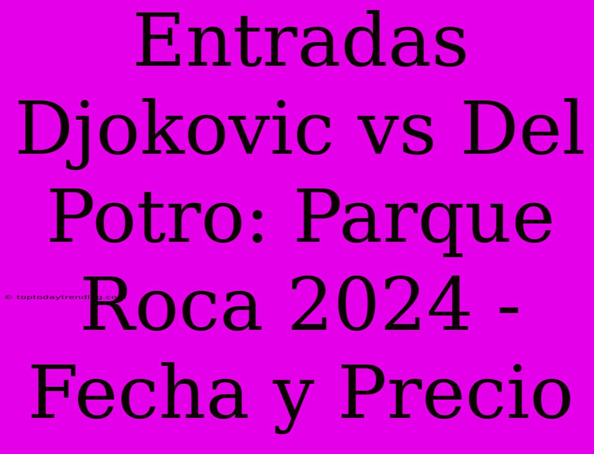 Entradas Djokovic Vs Del Potro: Parque Roca 2024 - Fecha Y Precio