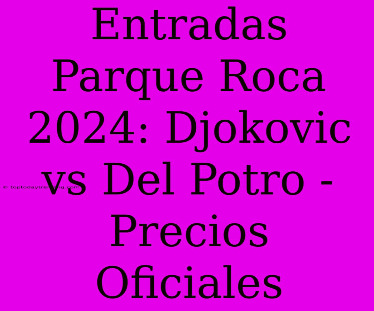 Entradas Parque Roca 2024: Djokovic Vs Del Potro - Precios Oficiales