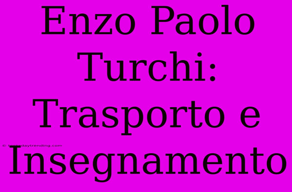 Enzo Paolo Turchi: Trasporto E Insegnamento