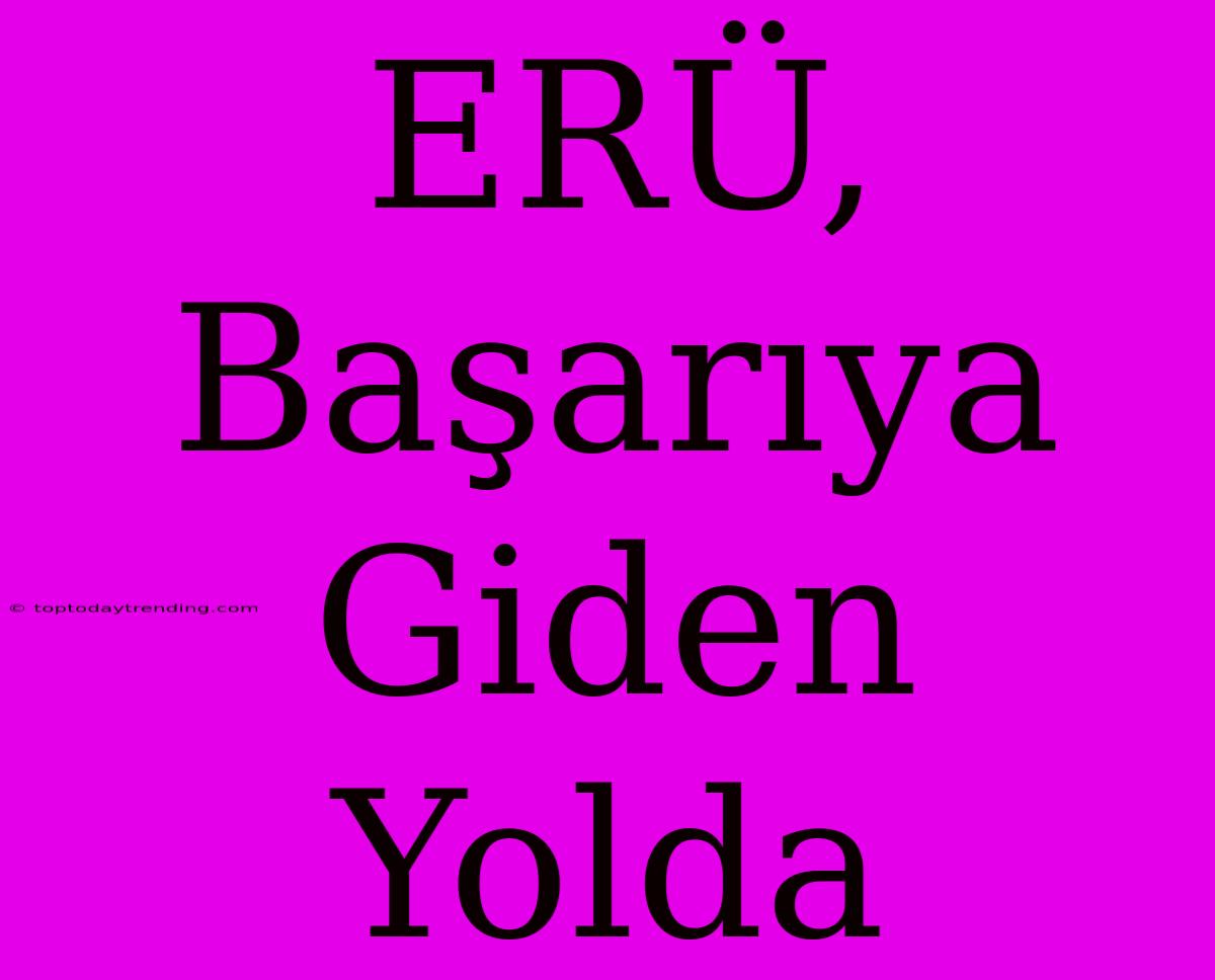 ERÜ, Başarıya Giden Yolda