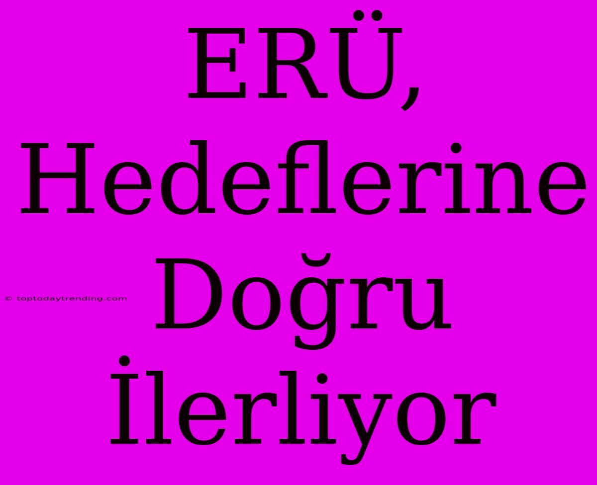 ERÜ, Hedeflerine Doğru İlerliyor