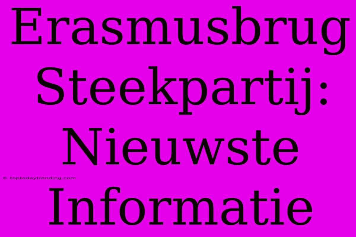 Erasmusbrug Steekpartij: Nieuwste Informatie