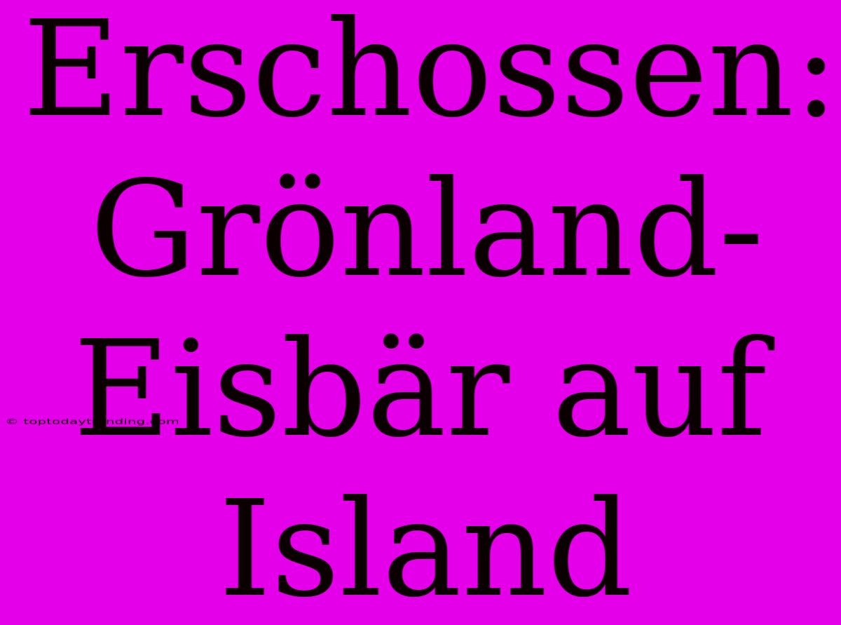 Erschossen: Grönland-Eisbär Auf Island