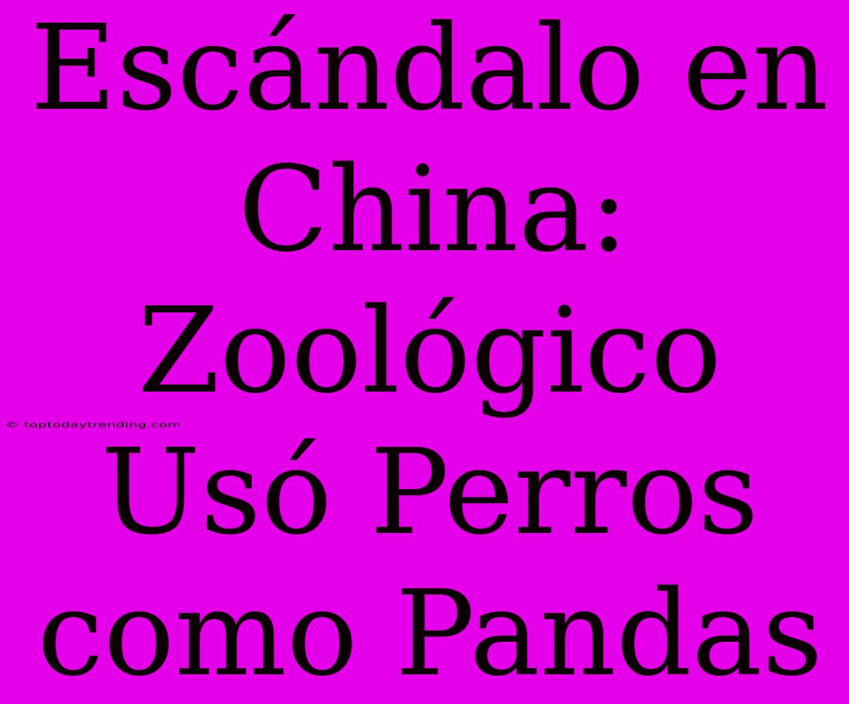 Escándalo En China: Zoológico Usó Perros Como Pandas